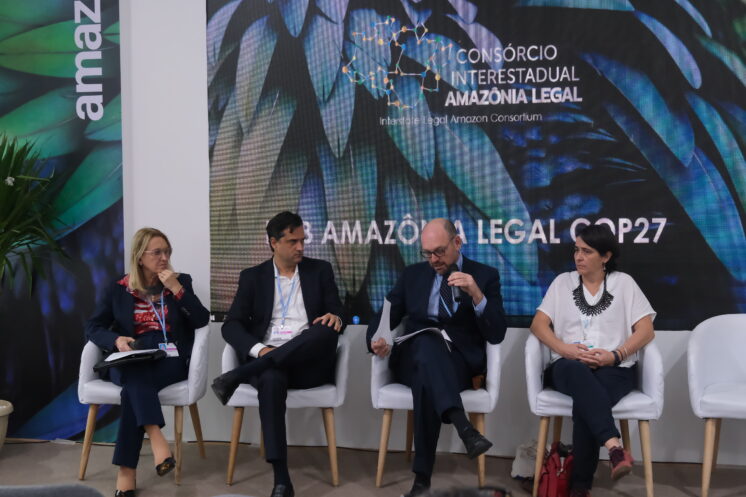 Reveja os debates com participação da ABDE na COP 27