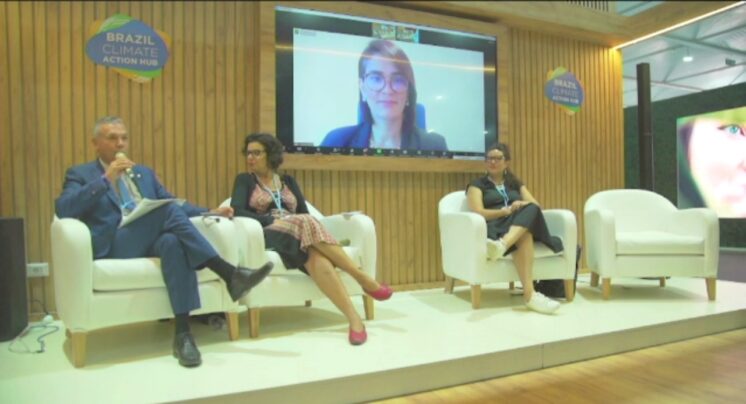 ABDE participa de painel na COP 27