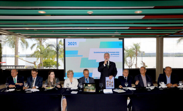 Sebrae e Frente Parlamentar das MPE celebram conquistas dos pequenos negócios