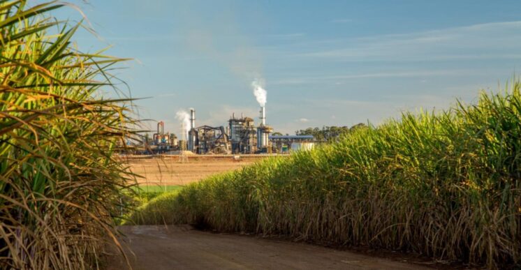 Banco do Nordeste destina R$ 800 milhões para setor sucroenergético em 2023