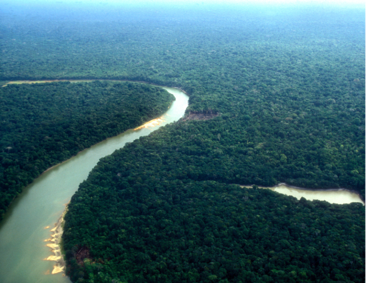 Banco da Amazônia fecha 2022 com resultados recordes
