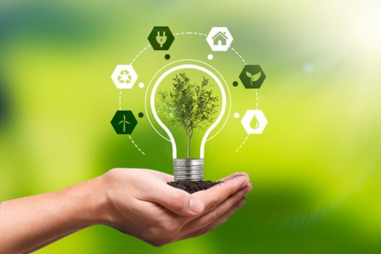 BDMG avança no apoio à economia sustentável