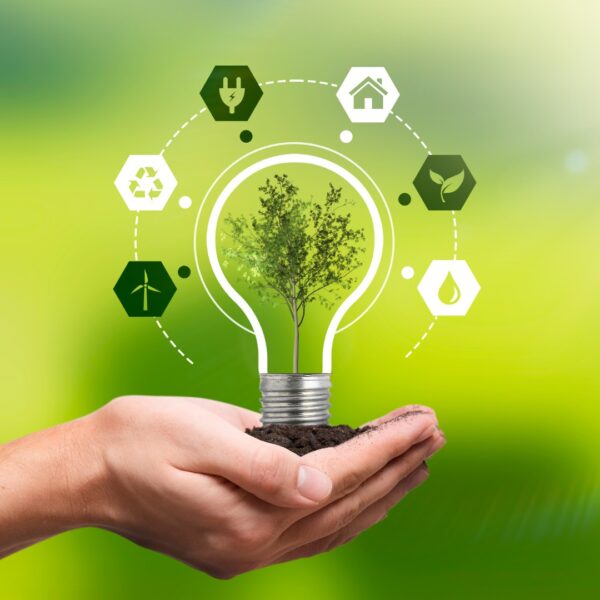 BDMG inicia capacitação gratuita para agricultura sustentável em Minas