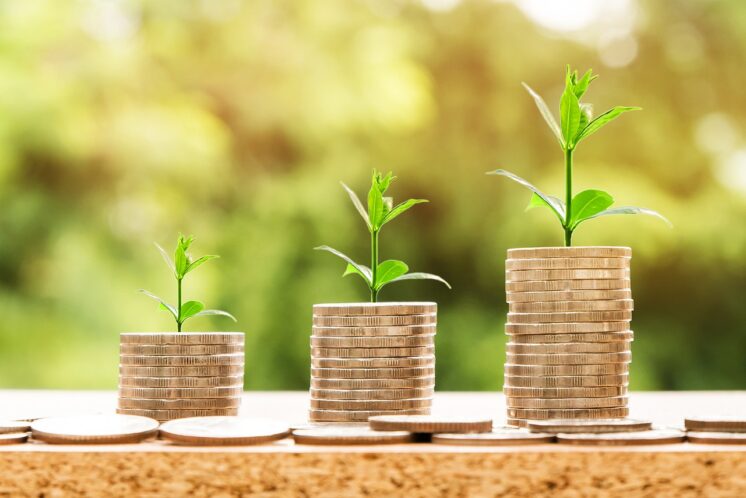BDMG abre inscrições para treinamento gratuito para municípios sobre projetos sustentáveis