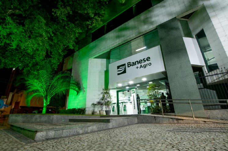 Banese bate recorde e destina R$ 100 milhões para o custeio de milho em ano agrícola