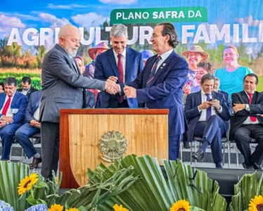 Plano Safra da Agricultura Familiar: Sebrae concede garantias de crédito para pequenos produtores